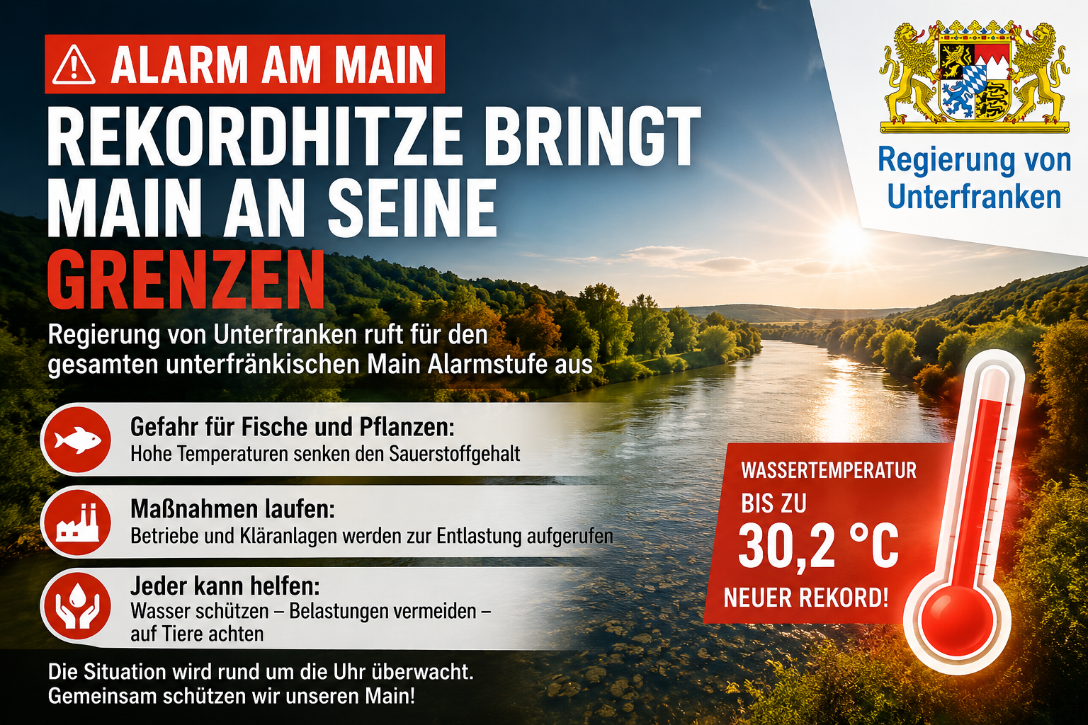 Alarm am Main: Rekordtemperaturen bringen Fluss an seine Grenzen